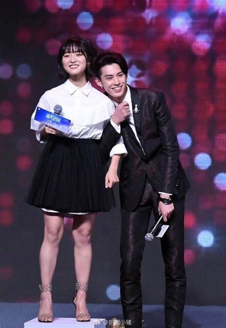 Exploring the Fascinating Lives and Careers of Dylan Wang and Shen Yue