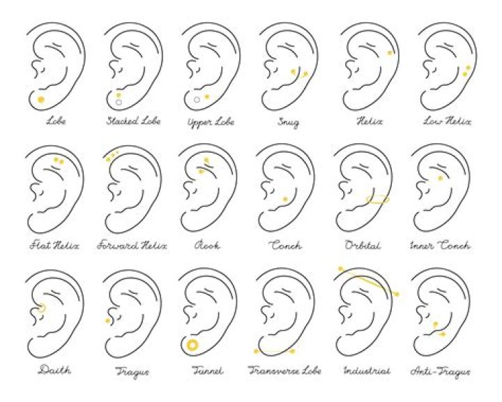 Ear Piercings and Their Names: A Comprehensive Guide to Modern Ear Piercing Styles