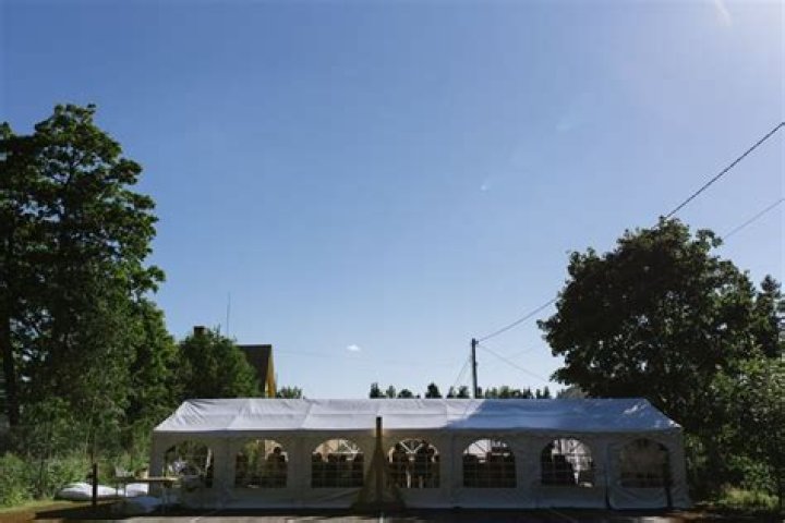 Elliniva: The Rising Star in the World of Music