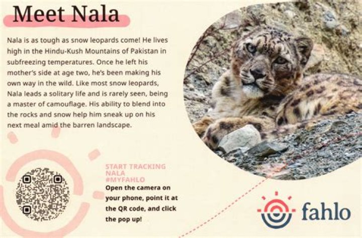 Fahlo Code Free: Your Ultimate Guide to Unlocking Free Benefits