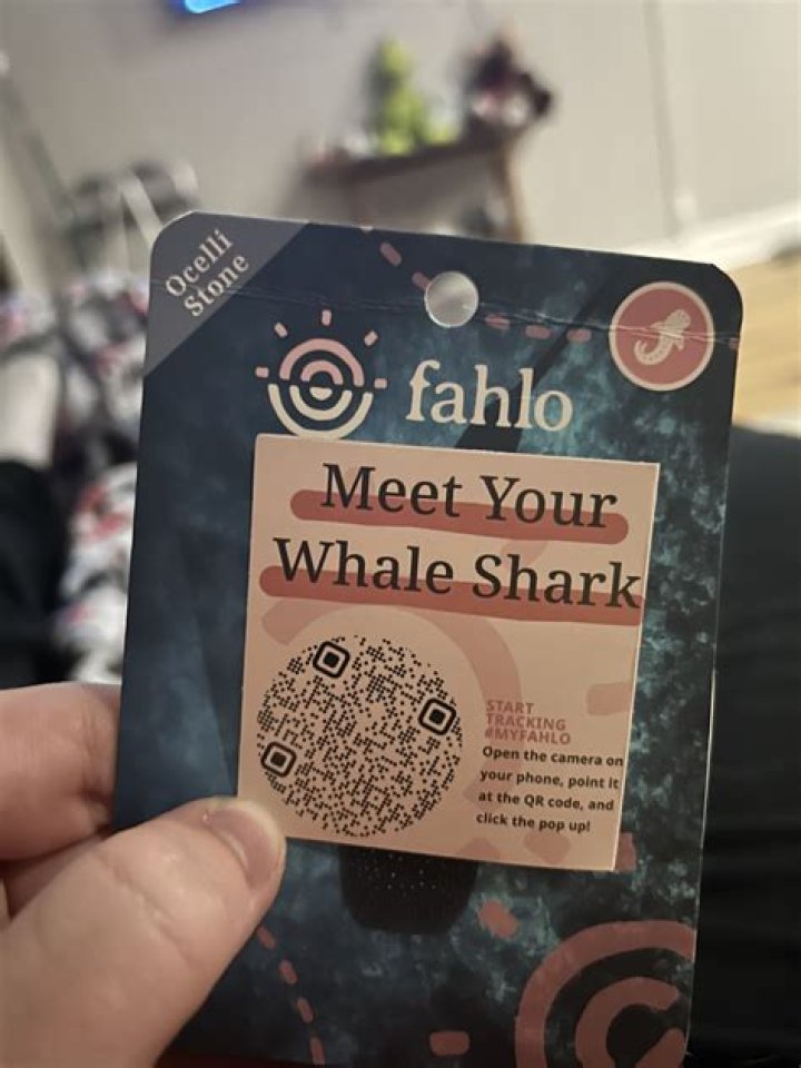 Fahlo QR Codes: The Revolutionary Way to Enhance Business and Daily Life