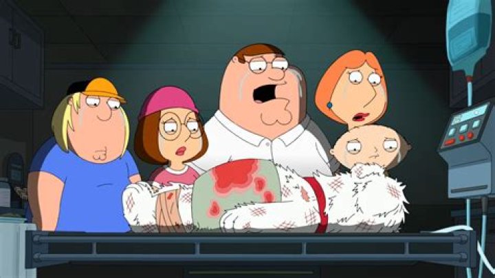 Family Guy: The Impact and Aftermath of Brian's Death