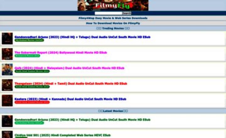 Unveiling filmyfly.in: Your Ultimate Guide to Streaming and Downloading Movies