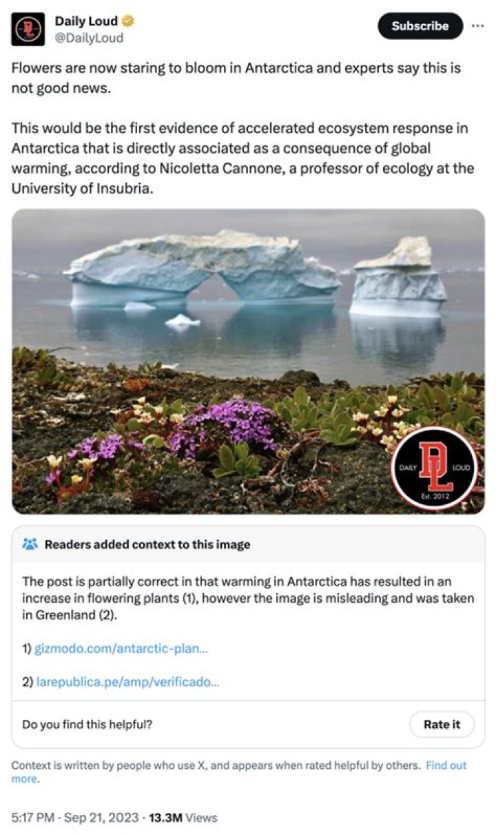 Flowers Blooming in Antarctica Meme: A Viral Phenomenon and Its Fascinating Implications
