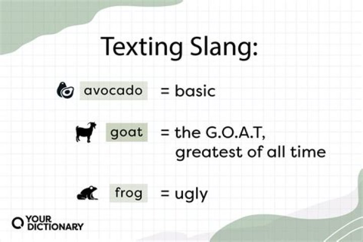 FSS Meaning Text Slang: A Comprehensive Guide to Understanding FSS