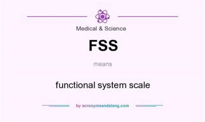 FSS Meaning Text: Understanding the Full Scope and Importance