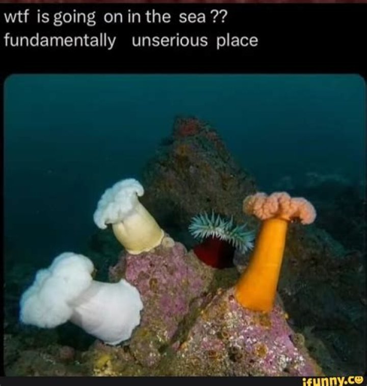 Understanding the Concept of a Fundamentally Unserious Place