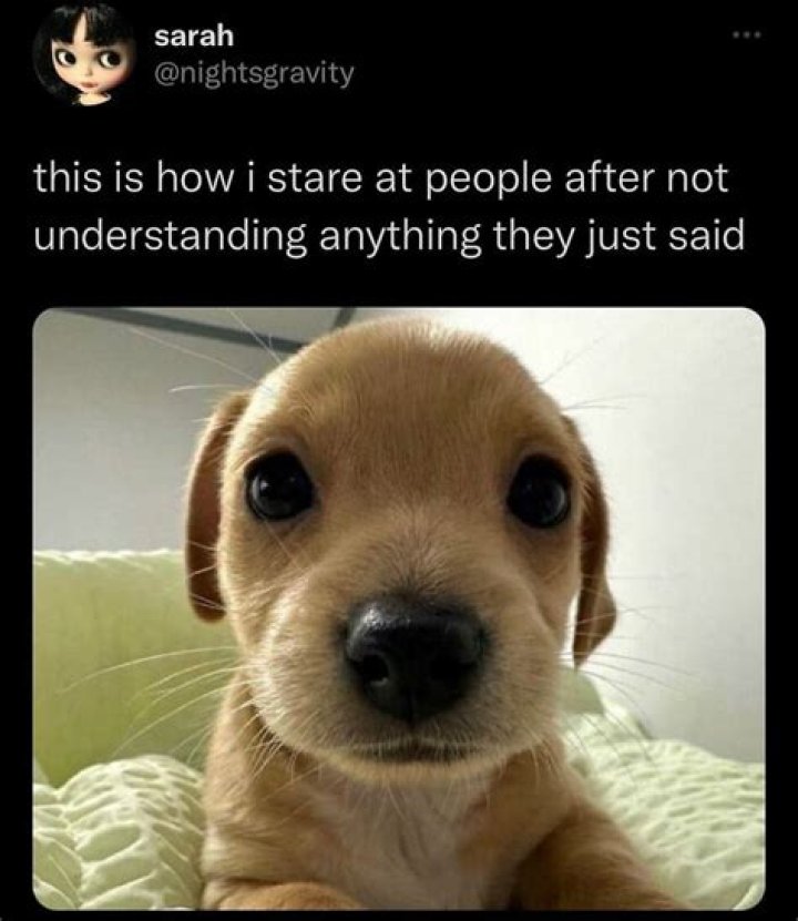 Funny Memes About Life: A Humorous Take on Everyday Struggles