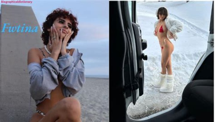 Fwtina Leaks: The Comprehensive Guide to Understanding and Addressing the Issue