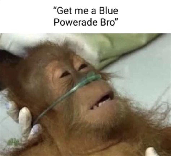 Get Me a Blue Powerade: The Ultimate Guide to Hydration and Energy