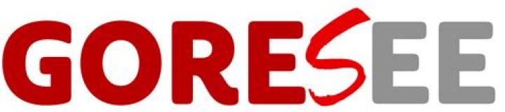 Goresee: Revolutionizing the Way We Stream Online