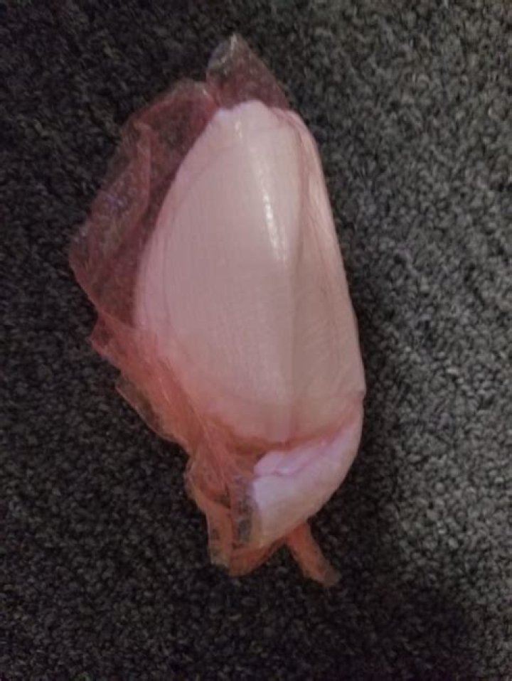 Grandmas Anus: A Comprehensive and Sensitive Exploration