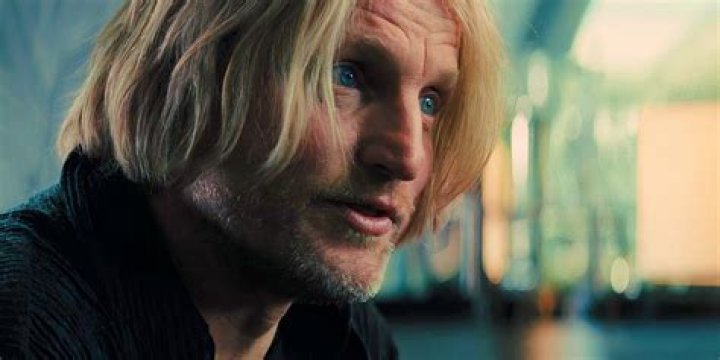 The Hunger Games: Haymitch Abernathy Actor - Gale & Katniss's Mentor