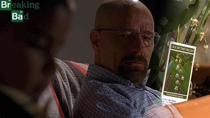 How Did Walter Poison Brock? The Untold Story Behind the Breaking Bad Twist