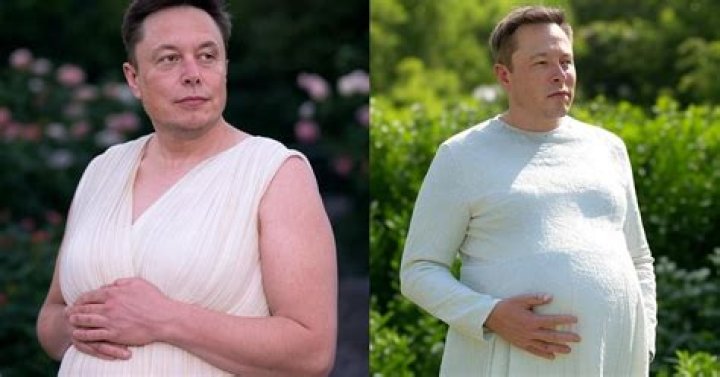 How Many Wives Does Elon Musk Have? A Comprehensive Guide to His Marital Journey