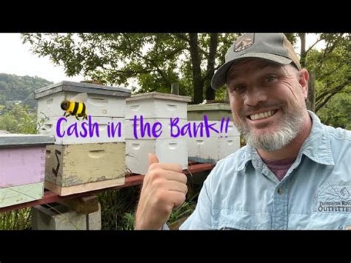 How Much Money Do Beekeepers Make a Year?