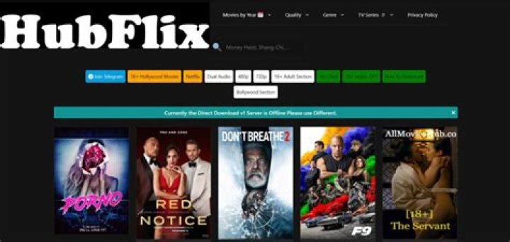 Discover the Best Entertainment on Hubflix.in: Your Ultimate Streaming Guide