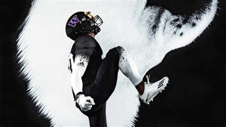 Unlocking the Secrets of Husky Maven: Your Ultimate Guide