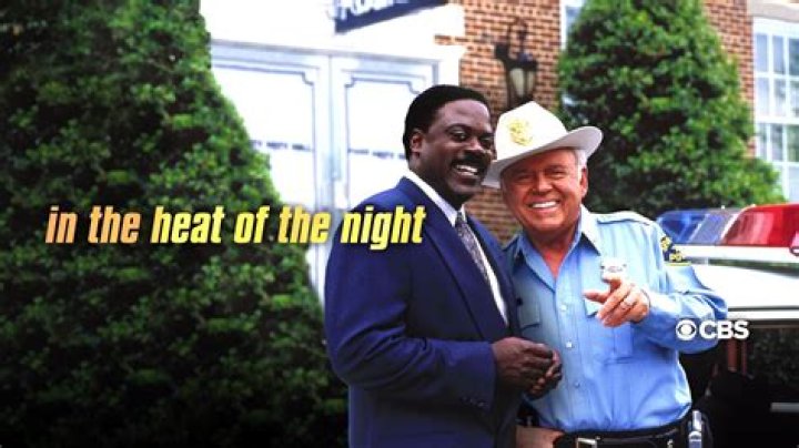 In the Heat of the Night TV Show Cast: Stars & Roles
