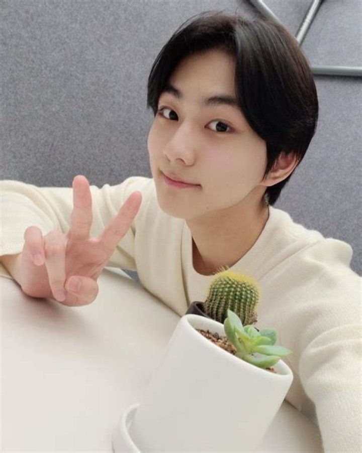 Injang Enhypen: Unveiling the Rising Star of the K-Pop Universe