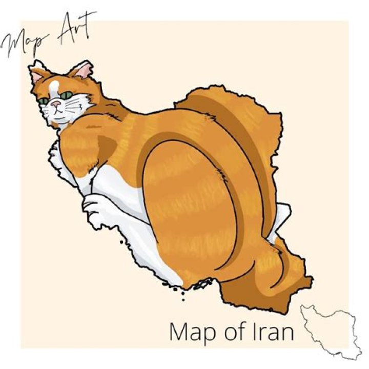 Iran Map Cat: Discovering the Feline Phenomenon That's Taking the World by Storm