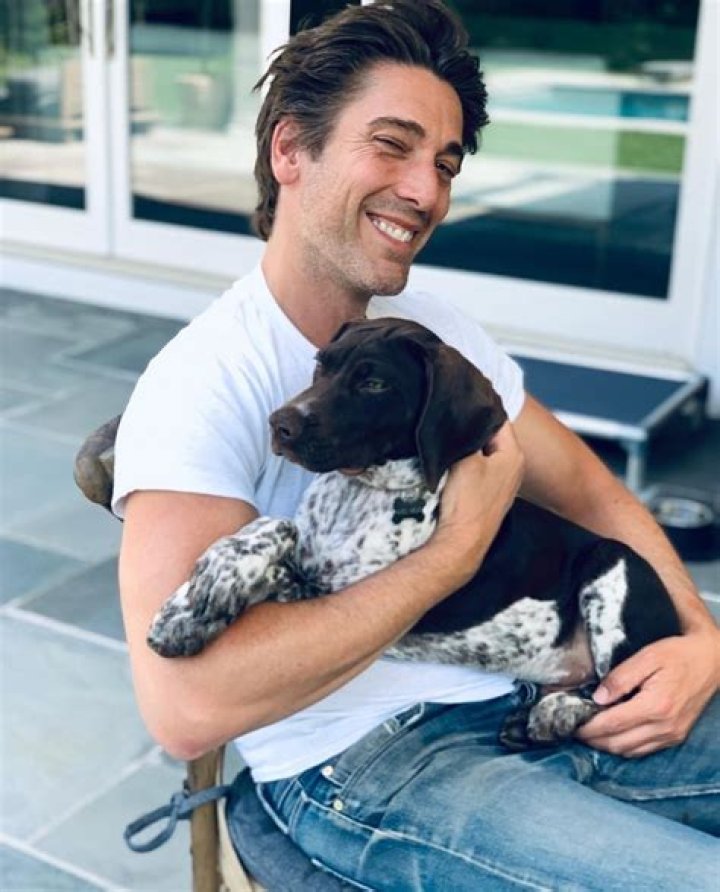Is David Jason Muir Married? - Details & Updates