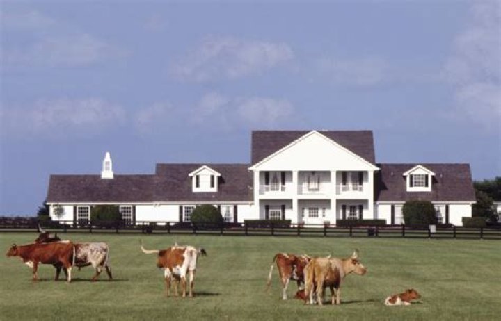 Is Demolition Ranch Still Married? Unveiling the Truth Behind the Relationship