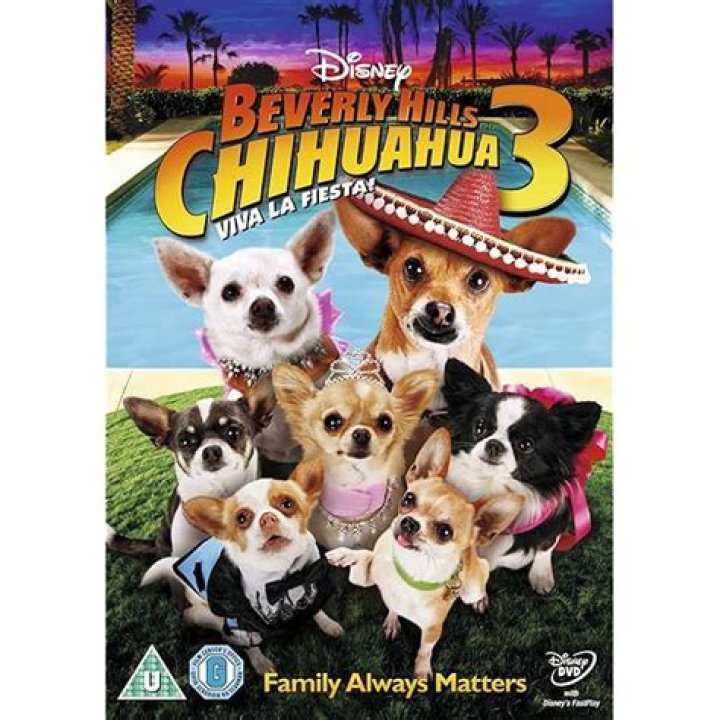 Is There a Beverly Hills Chihuahua 4? Unveiling the Mystery of the Franchise