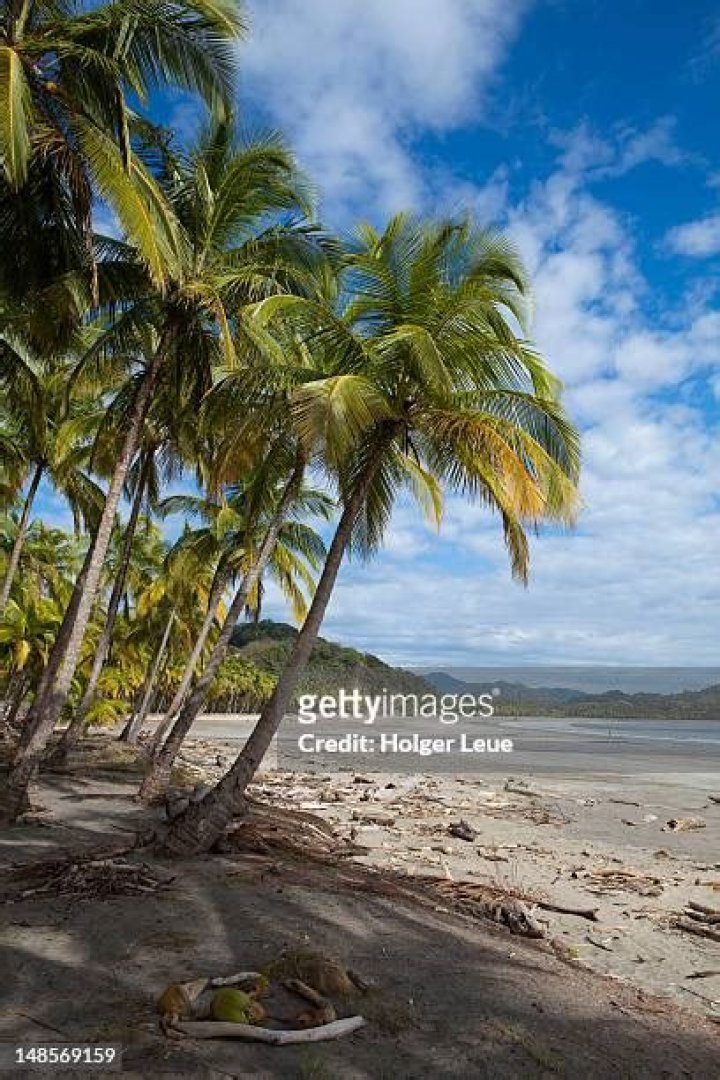 Unveiling the Mysteries of IYIFQN: A Comprehensive Guide