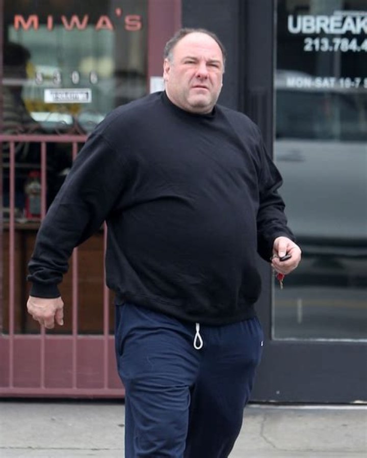Discovering James Gandolfini's Height and Weight
