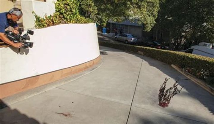 Unveiling the Truth: Johnny Lewis Death Cause and a Comprehensive Look Into His Life