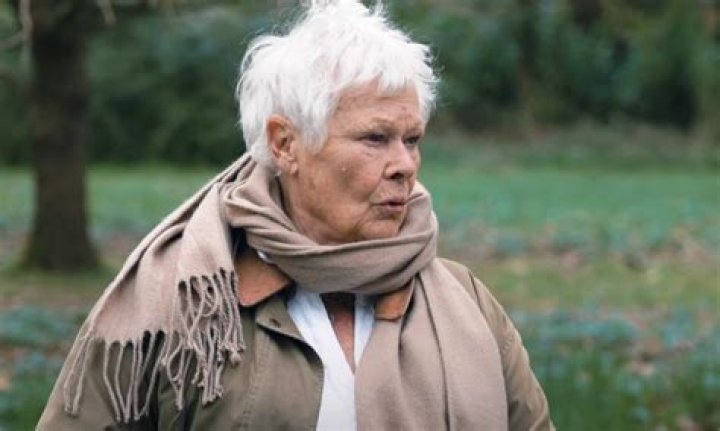 Judi Dench Net Worth: Success and Legacy of a Timeless Icon