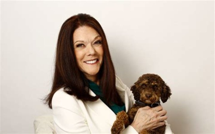 Kathleen Zellner Face: The Story Behind the Legal Legend