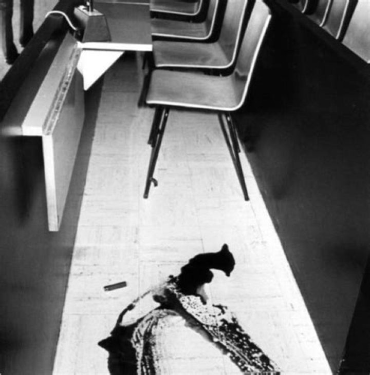 Klaus Grabowski: A Deep Dive into His Life, Career, and Legacy