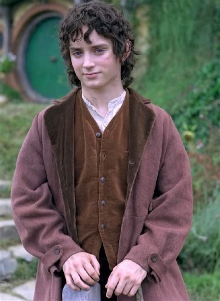 Meet the Talented Actor Behind Frodo Baggins in Lord of the Rings
