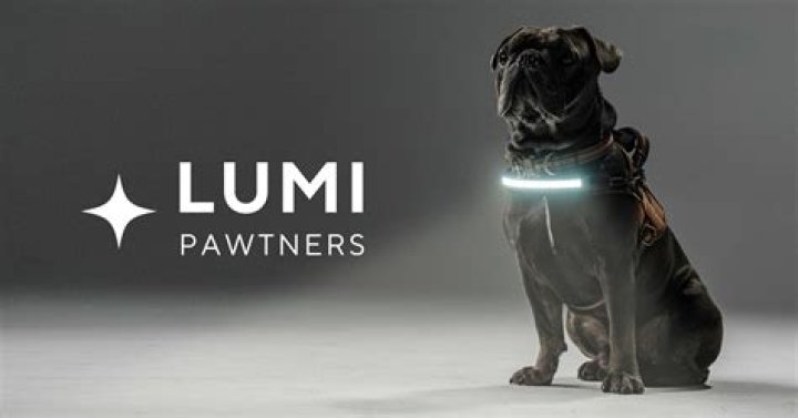 Lumi Dog Harnesses: The Ultimate Solution for Your Pet's Comfort and Safety