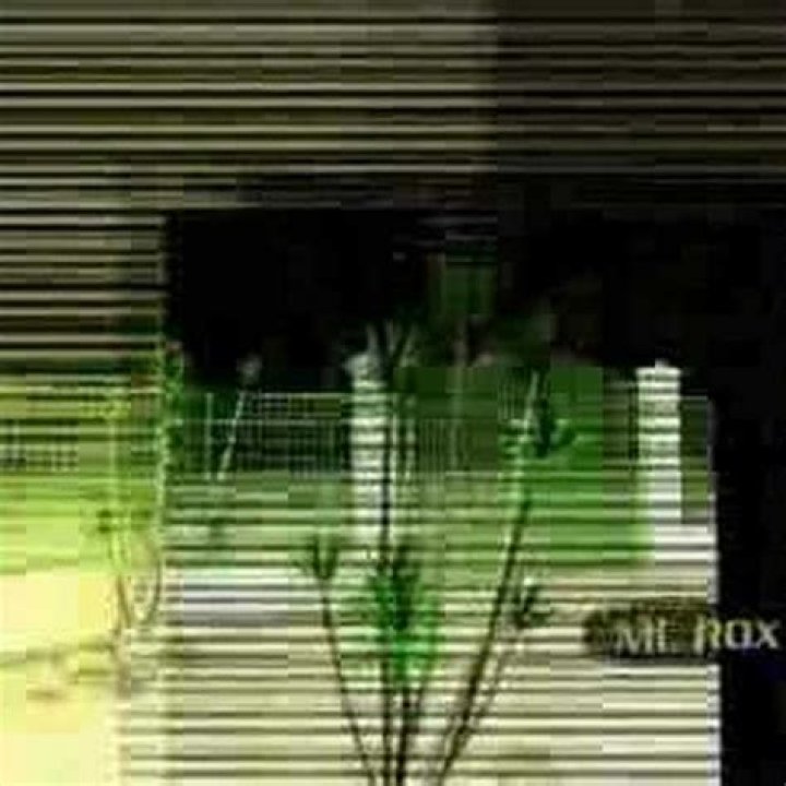 Who is Masha49? Unveiling the Journey of an Influential Content Creator