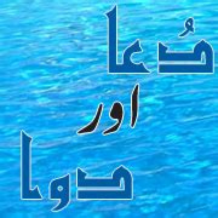 What is Masla49? A Comprehensive Guide to Understanding Its Significance