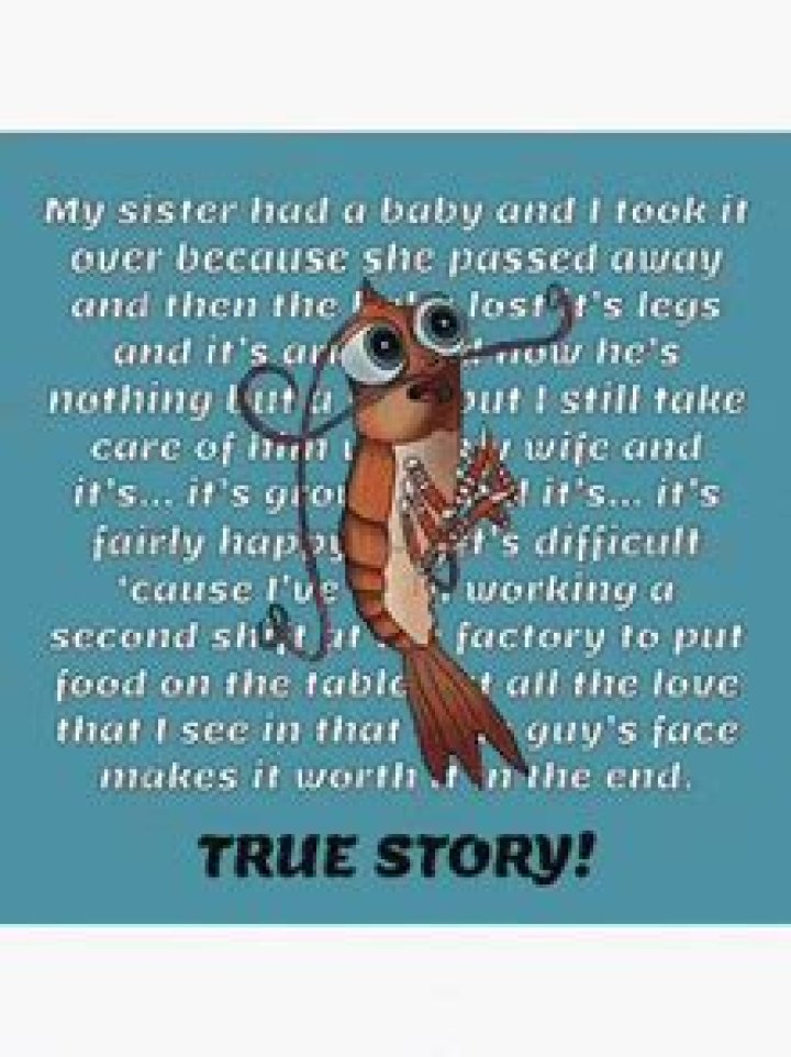 My Sister Had a Baby Shrimp GIF: A Heartwarming Story and Fun Exploration