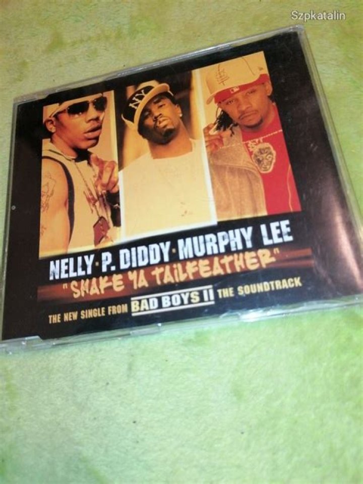 The Extraordinary Journey of Nelly, P Diddy, and Murphy Lee