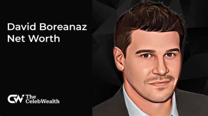 David Boreanaz's Wealth: An In-Depth Look at His Financial Success