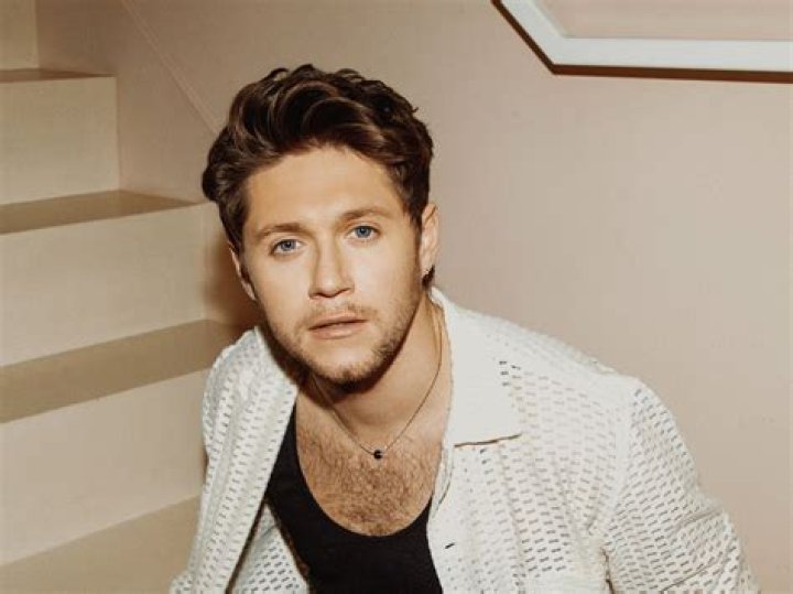 Niall Horan in Israel: Exploring the Journey, Performances, and Impact