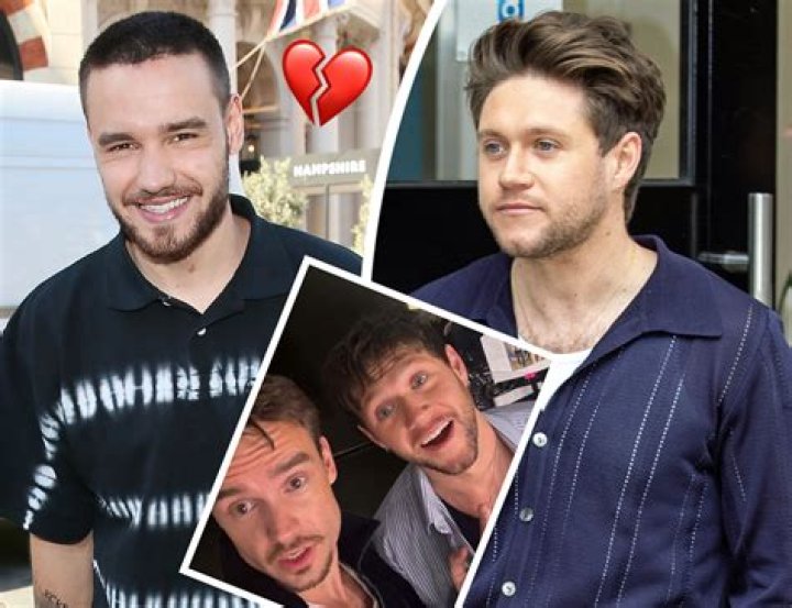 The Amazing Journey and Talents of Niall Liam: A Comprehensive Look