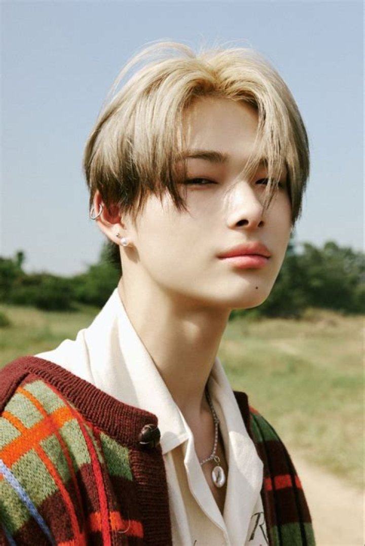 Niki ENHYPEN International Age: Everything You Need to Know