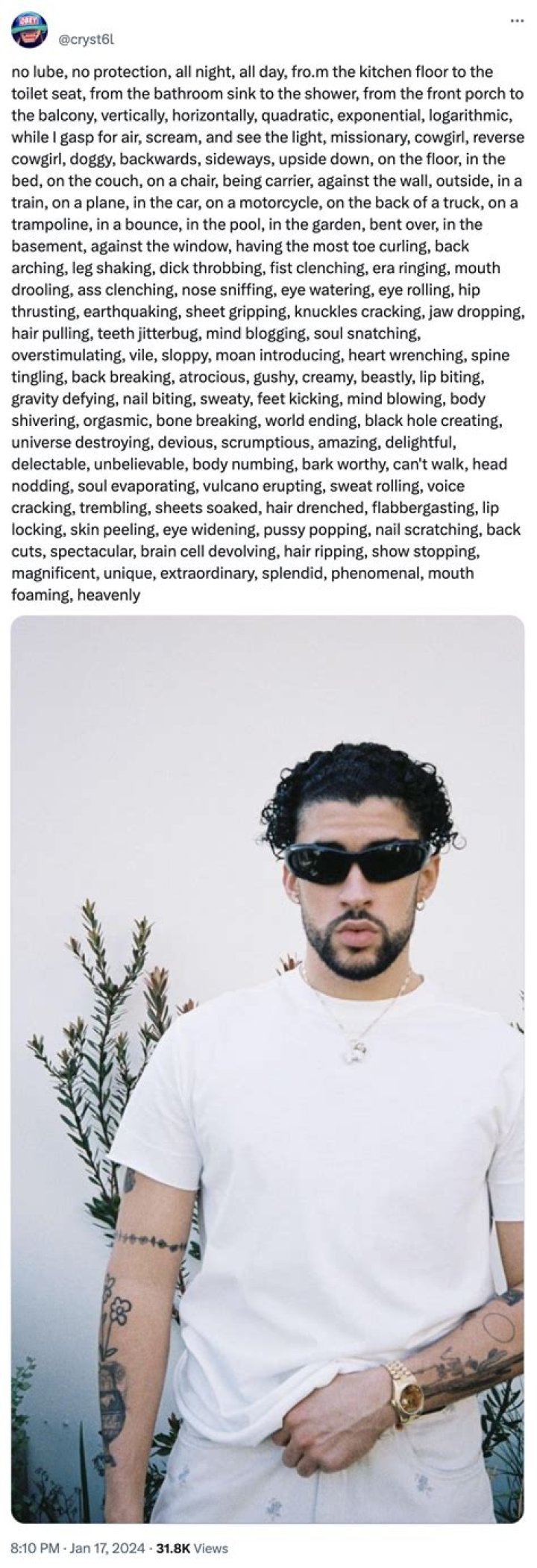 No Lube No Protection Copypasta: Exploring the Viral Phenomenon and Its Implications