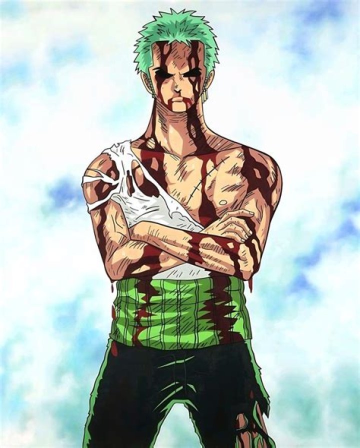 Zoro: Nothing Happened? | Hidden Story?