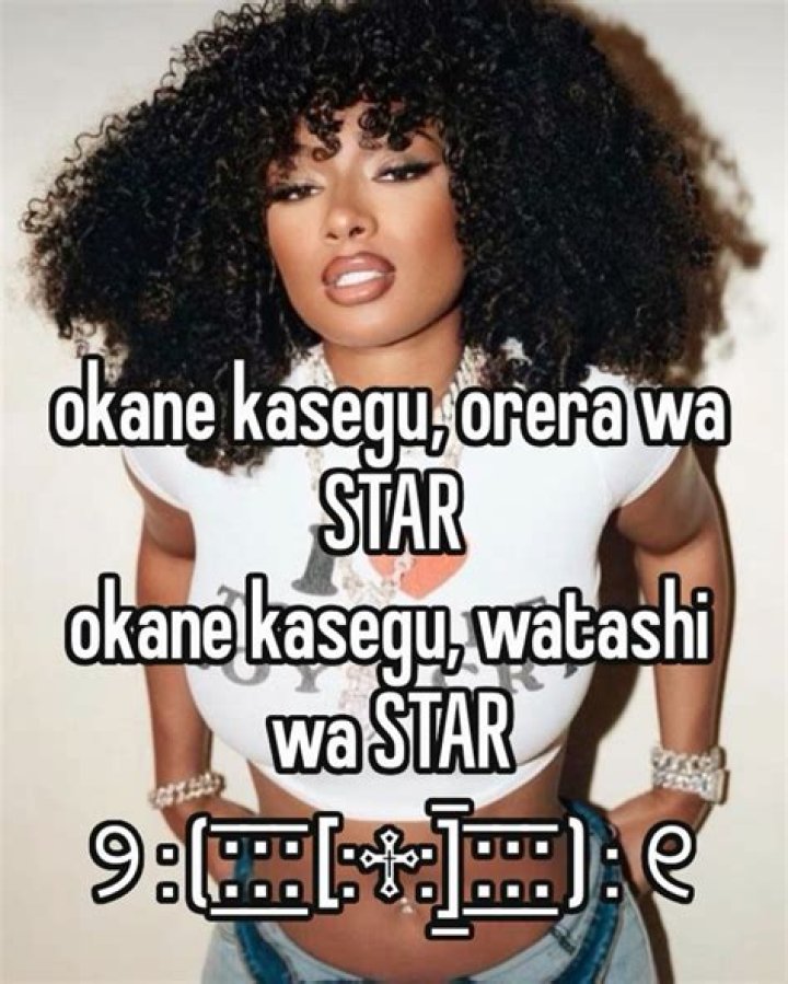 Demystifying the Meaning of "Oka-ne Kase-gu Ore-ra Wa Star"