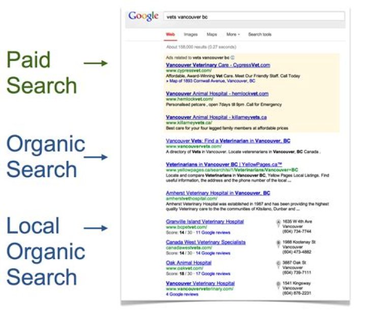 Maximizing Organic Search Results: The Ultimate Guide to Boosting Your Website Visibility