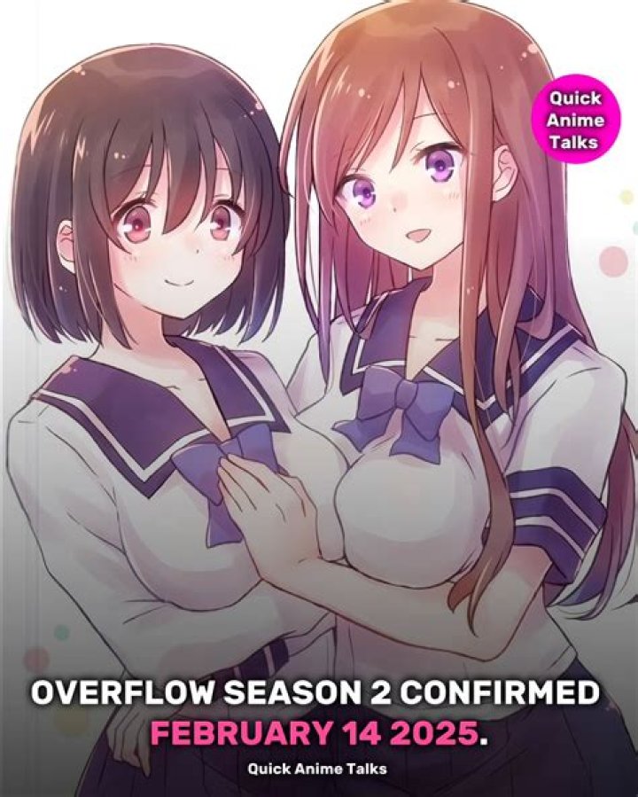 Exploring the Enigma of Overflow Season 2