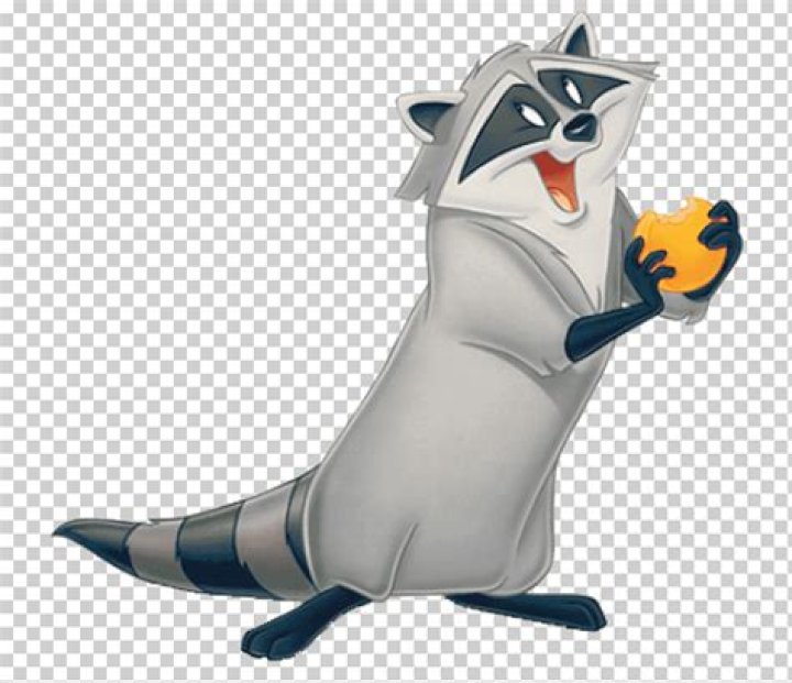 Pocahontas Disney Raccoon: Exploring the Enchanting Sidekick